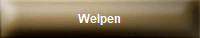 Welpen