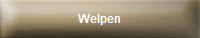 Welpen